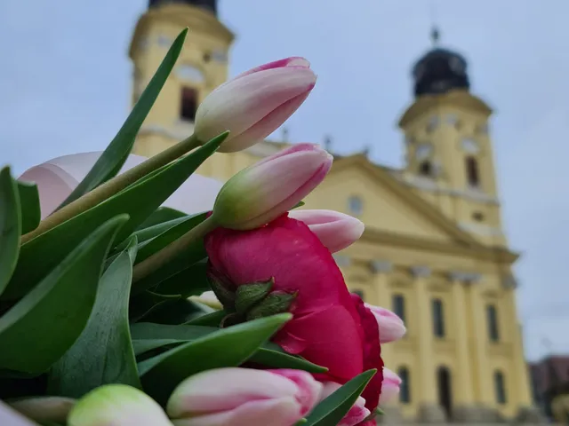 Eladó lakás Debrecen, Belváros 116 nm