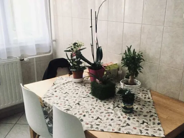 Kiadó lakás Debrecen, Nagyerdő 55 nm