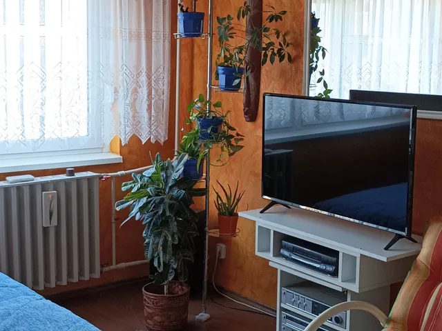 Eladó lakás Székesfehérvár, Palotaváros 49 nm