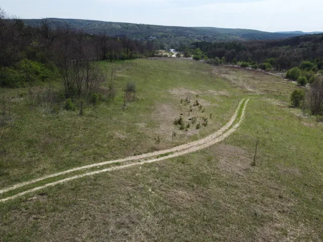 Eladó mezőgazdasági ingatlan Isaszeg 34295 nm