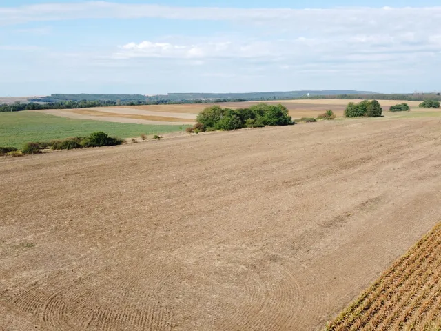 Eladó mezőgazdasági ingatlan Dány 50000 nm