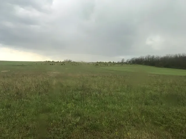 Eladó mezőgazdasági ingatlan Isaszeg 26509 nm