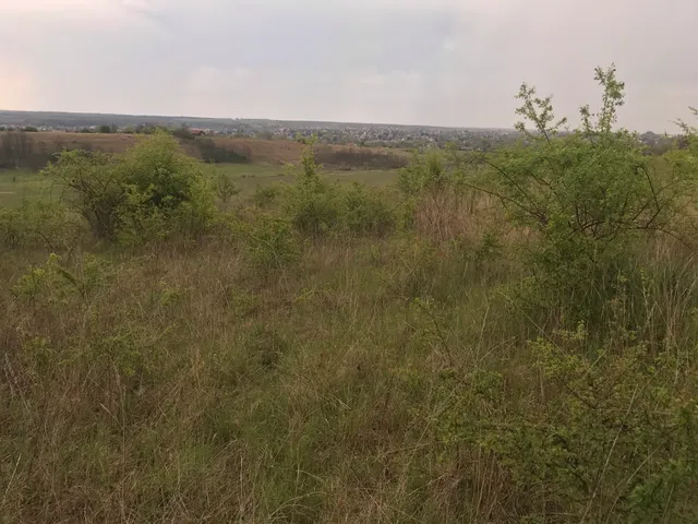 Eladó mezőgazdasági ingatlan Isaszeg 26509 nm