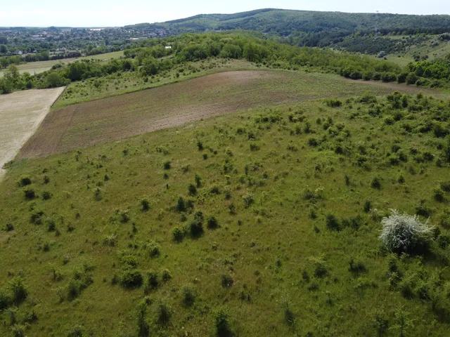 Eladó mezőgazdasági ingatlan Isaszeg 26509 nm