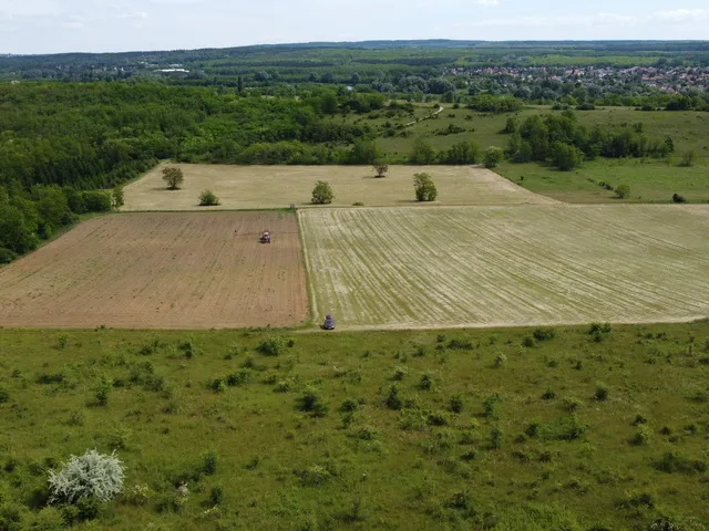 Eladó mezőgazdasági ingatlan Isaszeg 26509 nm