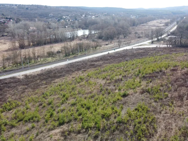 Eladó mezőgazdasági ingatlan Isaszeg 6590 nm