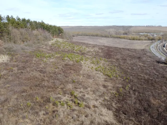 Eladó mezőgazdasági ingatlan Isaszeg, 3102 6590 nm