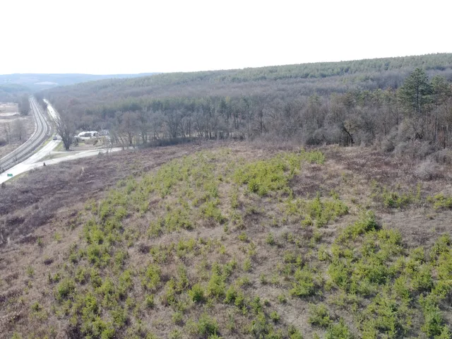 Eladó mezőgazdasági ingatlan Isaszeg, 3102 6590 nm