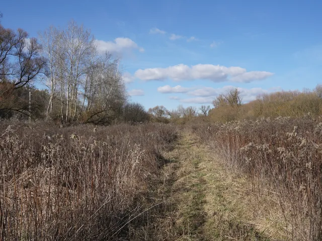 Eladó mezőgazdasági ingatlan Isaszeg, Külterület 58438 nm