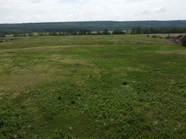 Eladó mezőgazdasági ingatlan Isaszeg 83708 nm