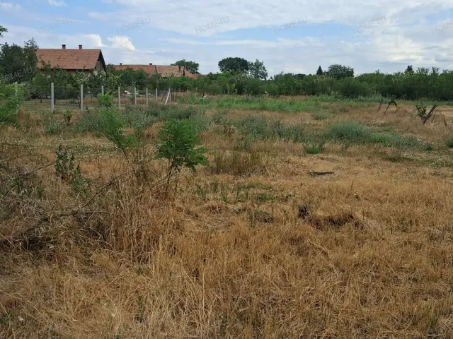 Eladó telek Zagyvarékas 1492 nm