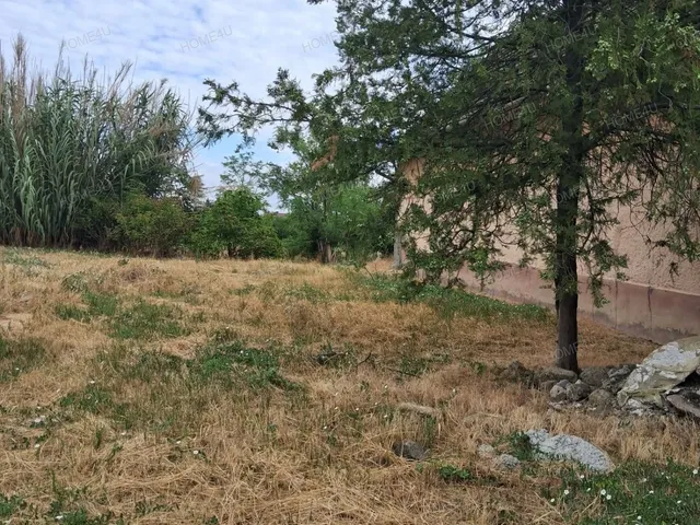 Eladó telek Zagyvarékas 1492 nm