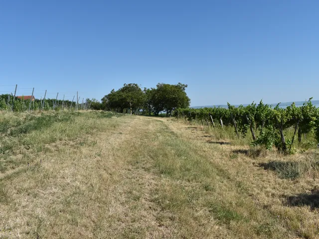 Eladó telek Szentantalfa 8450 nm