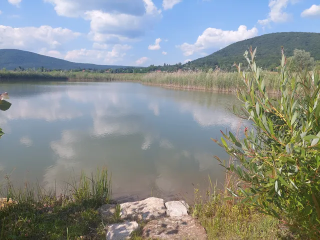 Eladó mezőgazdasági ingatlan Esztergom 30827 nm