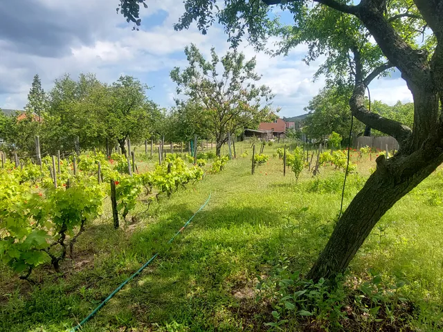 Eladó ház Esztergom, Esztergom-Kertváros, Eperjesi 62 nm