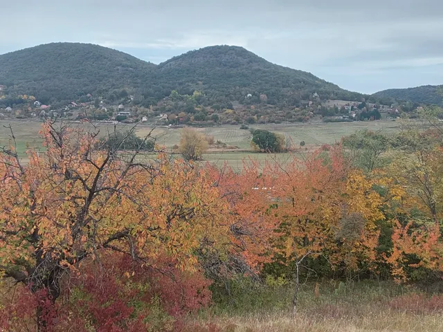 Eladó telek Esztergom 2579 nm