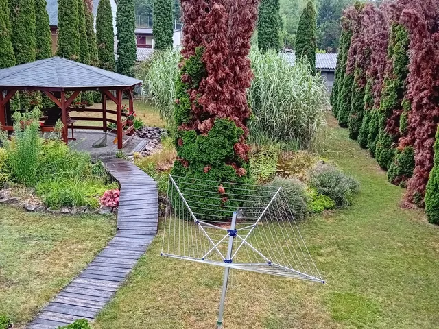 Eladó ház Bajót 256 nm