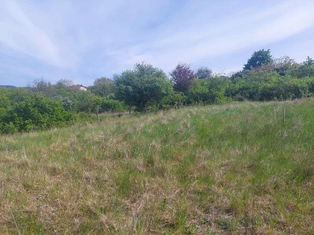 Eladó telek Esztergom, Döbönkút utca 1460 nm