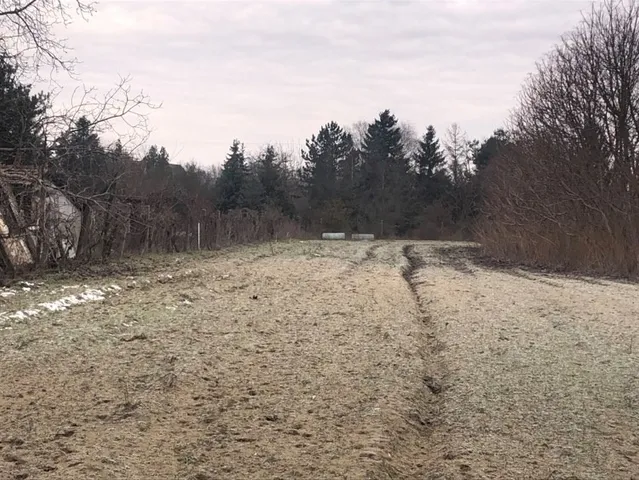 Eladó telek Kecskemét, Matkó 60000 nm