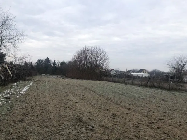 Eladó mezőgazdasági ingatlan Kecskemét, Talfája 70 nm