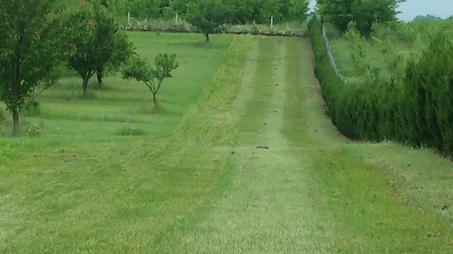 Eladó telek Kecskemét, Máriahegy 10200 nm