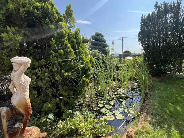 Eladó ház Kecskemét, Kadafalva 210 nm