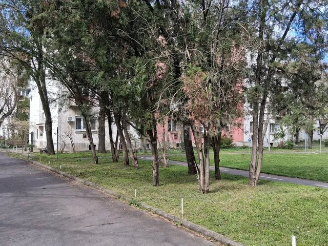 Kiadó lakás Békéscsaba, Penza-lakótelep 39 nm