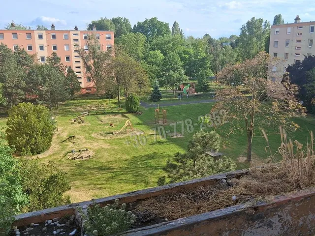 Eladó lakás Békéscsaba, Millenniumi lakótelep 55 nm