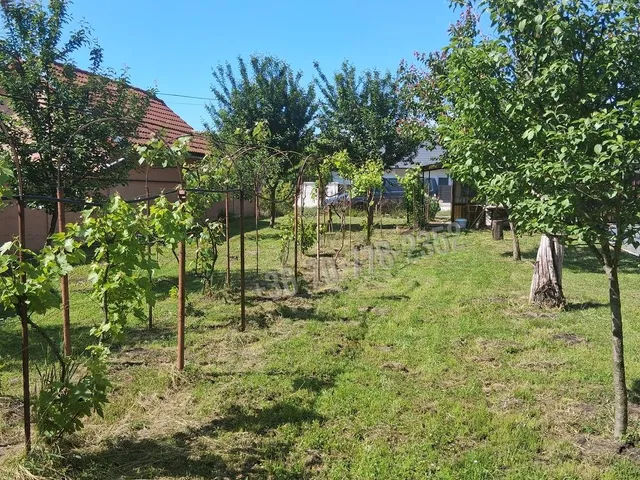 Eladó telek Békéscsaba 988 nm