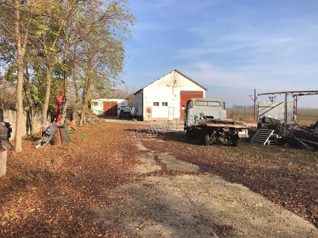 Eladó kereskedelmi és ipari ingatlan Újkígyós 152 nm