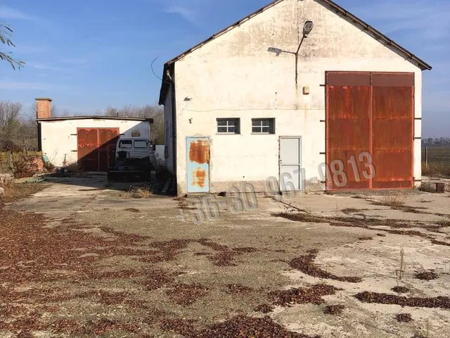 Eladó kereskedelmi és ipari ingatlan Újkígyós 152 nm