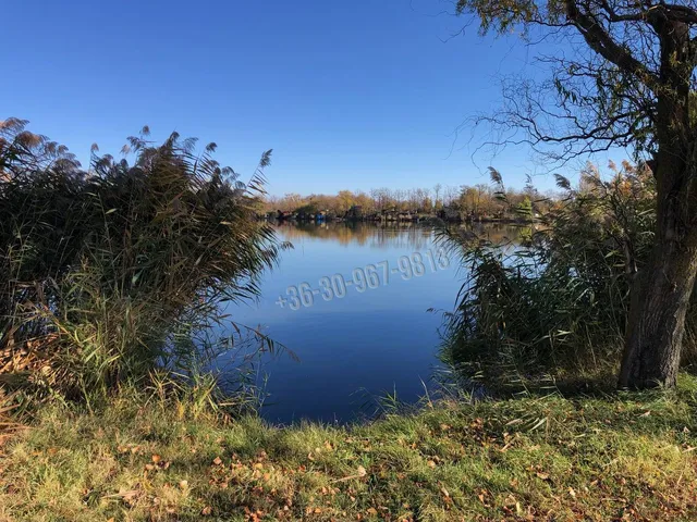 Eladó telek Békés, Borosgyán 2-es tó 254 nm