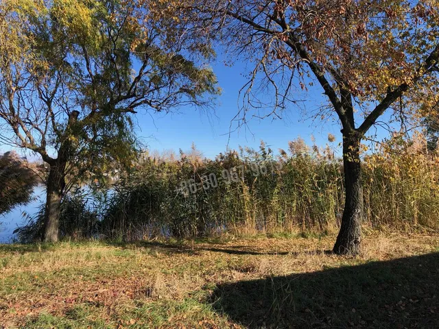 Eladó telek Békés, Borosgyán 2-es tó 254 nm