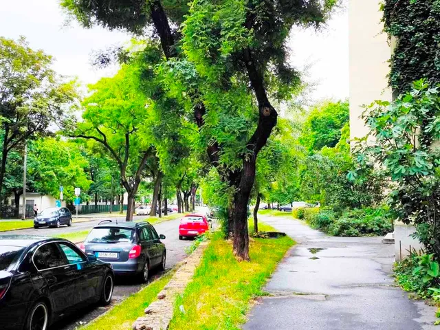 Eladó lakás Debrecen, Belváros 71 nm