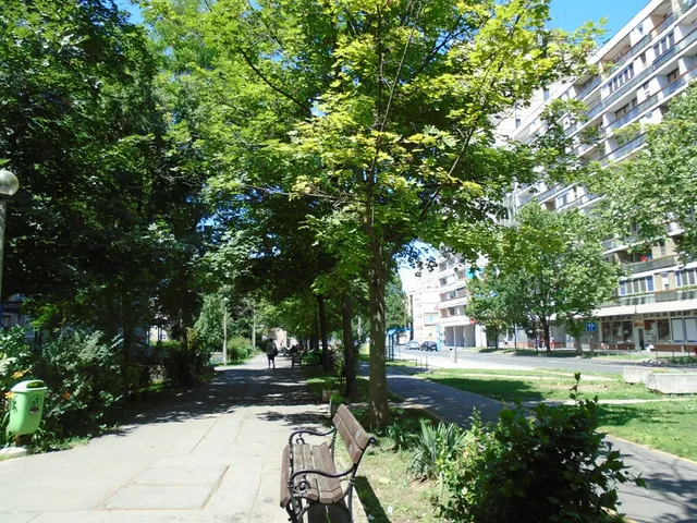 Kiadó lakás Debrecen, Belváros, Bethlen u  54 nm