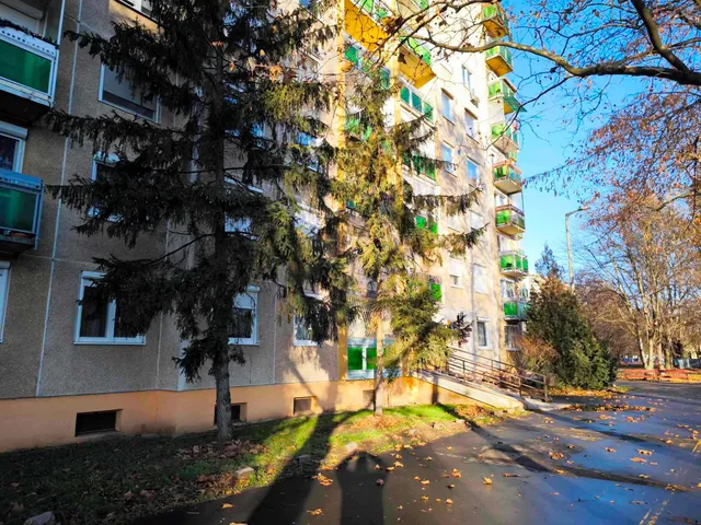 Kiadó lakás Debrecen, Újkert, Görgey u  51 nm