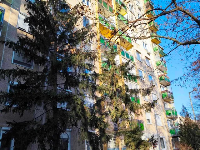 Kiadó lakás Debrecen, Újkert, Görgey u  51 nm