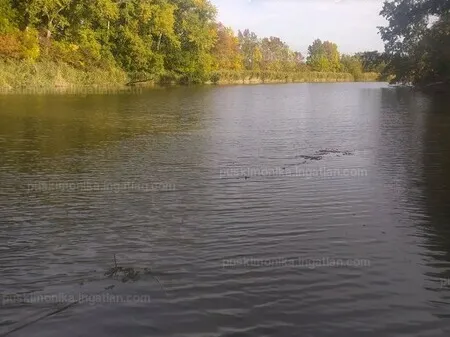 Eladó telek Mezőtúr, Vízközikert 1000 nm