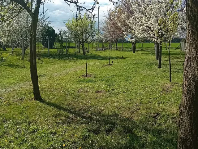 Eladó üdülő és hétvégi ház Mezőtúr, Vízközikert, Vakota 80 nm