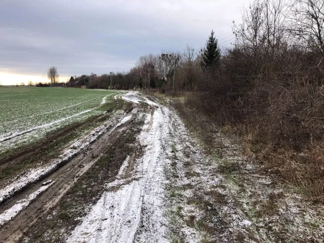 Eladó telek Gyomaendrőd, Gyoma, Danzug 1649 nm