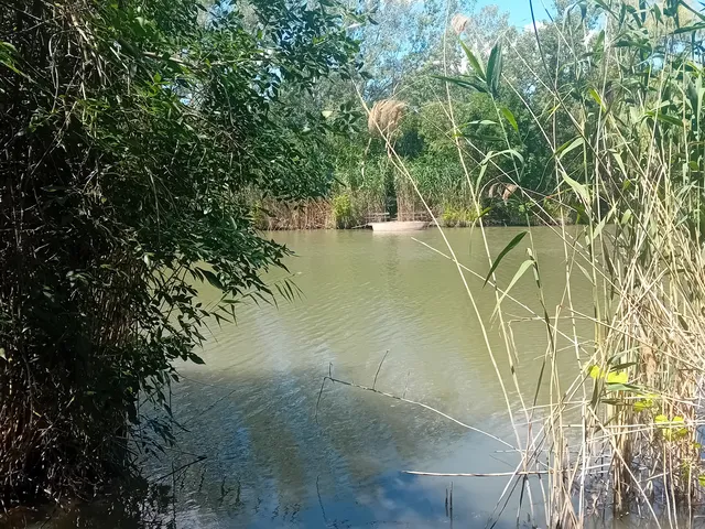 Eladó telek Gyomaendrőd, Gyoma 1649 nm