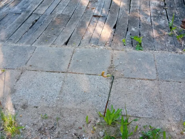 Eladó üdülő és hétvégi ház Mezőtúr, Vízközikert, Part 50 nm