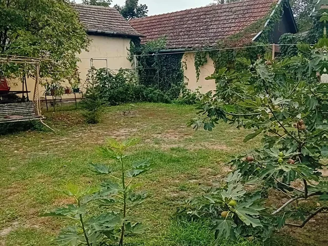 Eladó ház Mezőberény, Városközpont, Galilei 86 nm