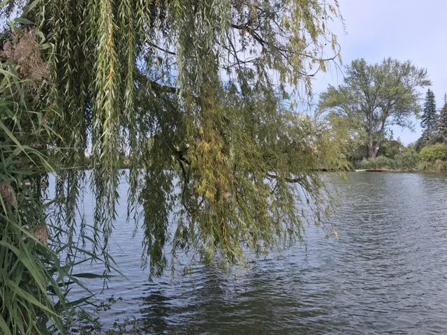 Eladó üdülő és hétvégi ház Békésszentandrás, Harcsási  58 nm