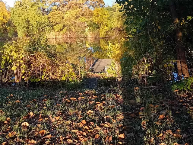 Eladó üdülő és hétvégi ház Gyomaendrőd, Gyoma, Vásárhelyi Pál 70 nm
