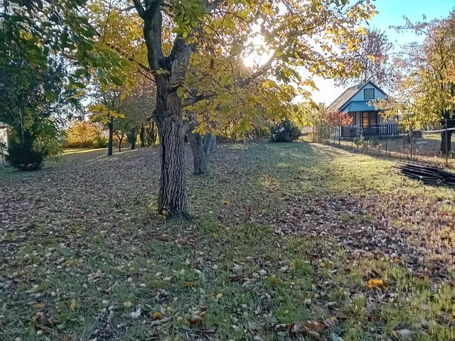Eladó üdülő és hétvégi ház Gyomaendrőd, Gyoma, Vásárhelyi Pál 70 nm