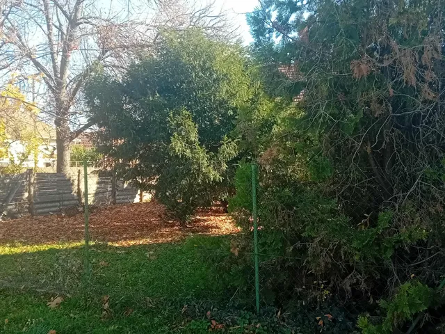 Eladó ház Gyomaendrőd, Gyoma 120 nm