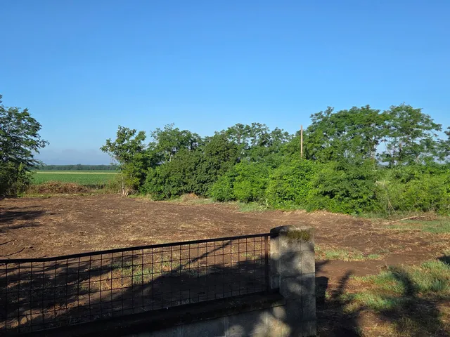 Eladó telek Dánszentmiklós, Rákóczi Ferenc 900 nm