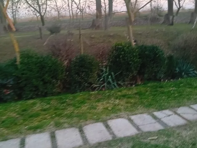 Eladó telek Csárdaszállás, Biristyó 736 nm