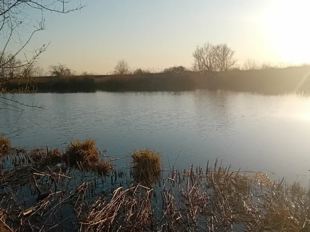 Eladó telek Csárdaszállás, Solymosi 1000 nm